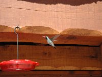2006042633 Darrel & Betty Hagberg - Copper Canyon - Mexico