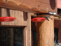 2006042634 Darrel & Betty Hagberg - Copper Canyon - Mexico