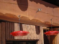 2006042635 Darrel & Betty Hagberg - Copper Canyon - Mexico