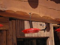 2006042638 Darrel & Betty Hagberg - Copper Canyon - Mexico