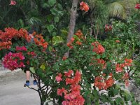 2016061020 Tulum and Mayan Village, Cozumel, Mexico (June 10)