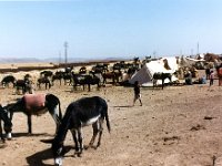 1990072664 Casablanca, Morocco (July 29)