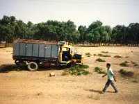 1990072485 Fes, Morocco (July 26, 1990)