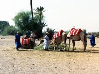 1990072555 Marrakech, Morocco (July 27 - 28, 1990)