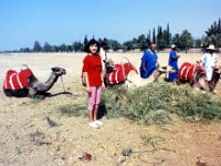 1990072565 Marrakech, Morocco (July 27 - 28, 1990)