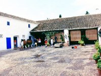 1990072719 Rabat (July 29, 1990)