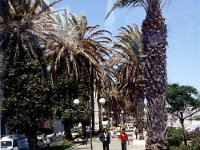 1990072765 Rabat (July 29, 1990)