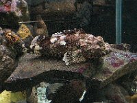 200502086 Auckland, New Zealand (February 24 - 25, 2005)