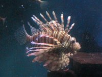 200502088 Auckland, New Zealand (February 24 - 25, 2005)