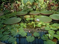 200502115 Auckland, New Zealand (February 24 - 25, 2005)