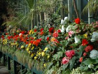 200502123 Auckland, New Zealand (February 24 - 25, 2005)