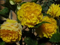 200502125 Auckland, New Zealand (February 24 - 25, 2005)