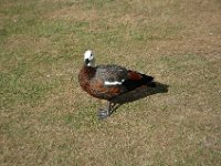 2005021645 Christchurch, New Zealand (February 17 - 18, 2005)