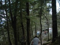 200501902 Milford Sound, New Zealand (February 21, 2005)