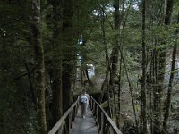 200501905 Milford Sound, New Zealand (February 21, 2005)