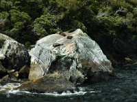 200501931 Milford Sound, New Zealand (February 21, 2005) : Betty Hagberg