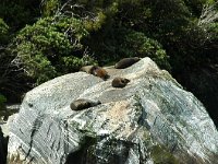 200501932 Milford Sound, New Zealand (February 21, 2005)