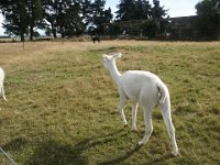 2005021703 Mount Cook, New Zealand (February 19, 2005)