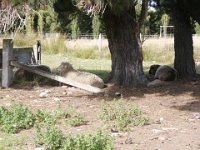 2005021709 Mount Cook, New Zealand (February 19, 2005)