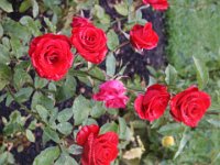 2005021849 Queenstown, New Zealand (February 20, 2005)