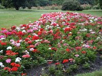 2005021852 Queenstown, New Zealand (February 20, 2005)