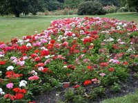 2005021853 Queenstown, New Zealand (February 20, 2005)