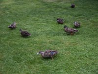 2005021859 Queenstown, New Zealand (February 20, 2005)