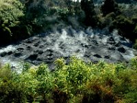 2005022015 Rotorua, New Zealand (February 22 - 23, 2005)