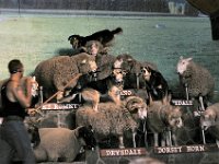 2005022036 Rotorua, New Zealand (February 22 - 23, 2005)