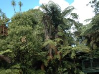 2005022046 Rotorua, New Zealand (February 22 - 23, 2005)