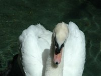 2005022051 Rotorua, New Zealand (February 22 - 23, 2005)