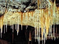 200502064 Waitomo, New Zealand (February 24, 2005) : Betty Hagberg,Darrel Hagberg