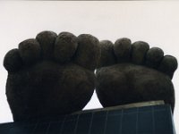 1998061191 Darrel and Betty Hagberg - Peru