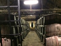 2016051639M Oporto City Tour (May 9)