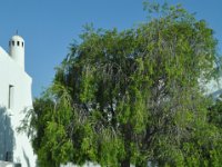 2016052967 Lisbon (May 14)