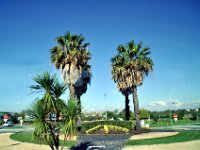 2016052975 Lisbon (May 14)