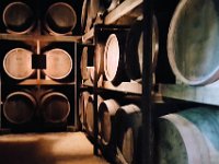 Quinta da Aveleda Winery, Vila Real (May 10)