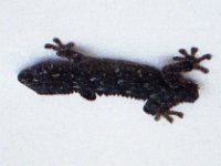 Image2 : Darla Hagberg,Katia DePuydt