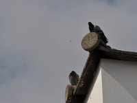 2013094255 Lubijanna Slovenia - Sept 18