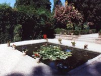 1990072289 Granada, Spain (August 1, 1990)