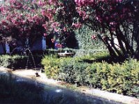 1990072298 Granada, Spain (August 1, 1990)