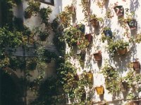 1990072361 Toledo, Spain (August 3, 1990)