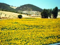 1990072370 Toledo, Spain (August 3, 1990)