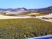 1990072371 Toledo, Spain (August 3, 1990)