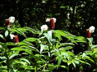 2005022182 Tahiti (February 27 - 28, 2005)