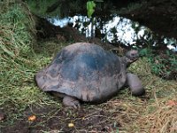 2005022204 Tahiti (February 27 - 28, 2005)