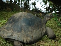 2005022205 Tahiti (February 27 - 28, 2005)