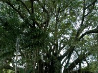 2005022206 Tahiti (February 27 - 28, 2005)