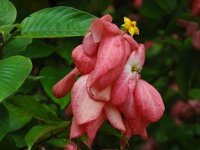 2005022207 Tahiti (February 27 - 28, 2005)