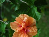 2005022211 Tahiti (February 27 - 28, 2005)